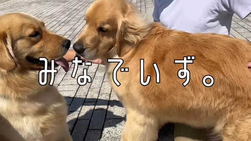 2022y05m06d_202955455