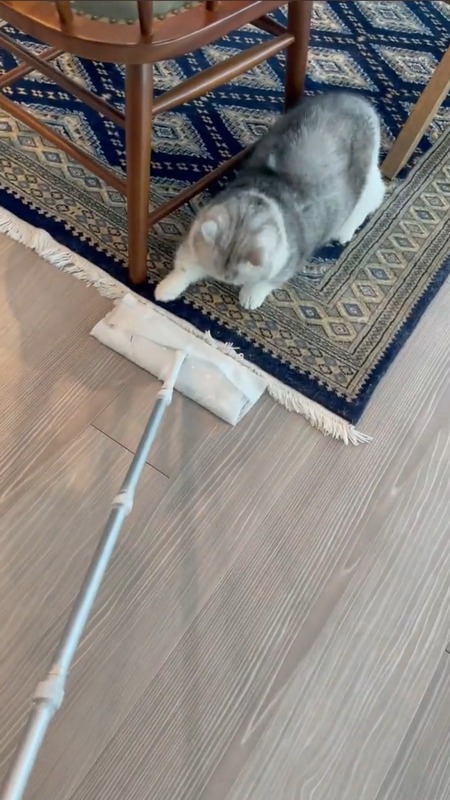 Screenshot_20220102-110403_Twitter