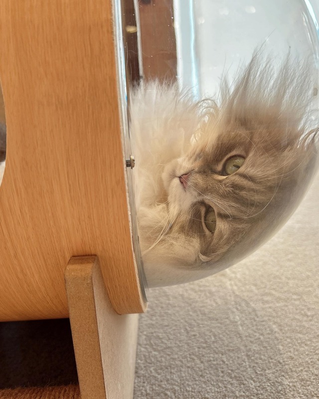 491502795_18373383214192434_5140518650595478403_n