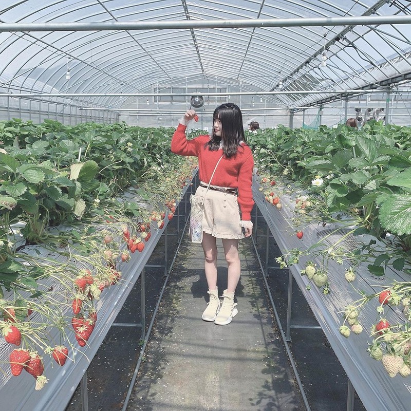 airi_hkt48_103076664_251201606174864_7955540340522466367_n