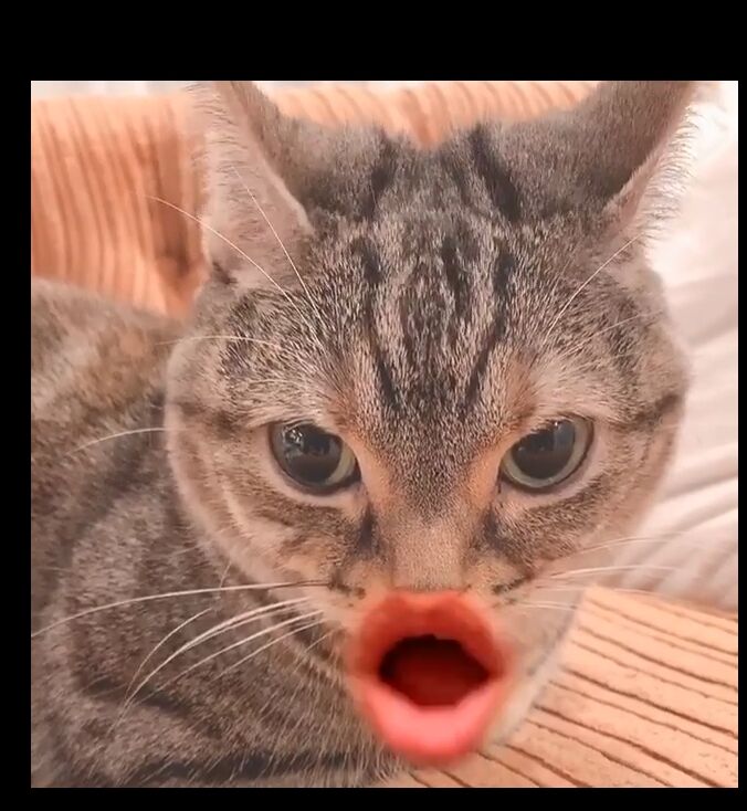 2020y04m12d_084241059