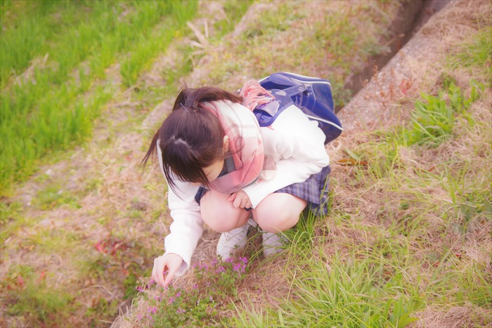 IMGP9499 (2) - コピー