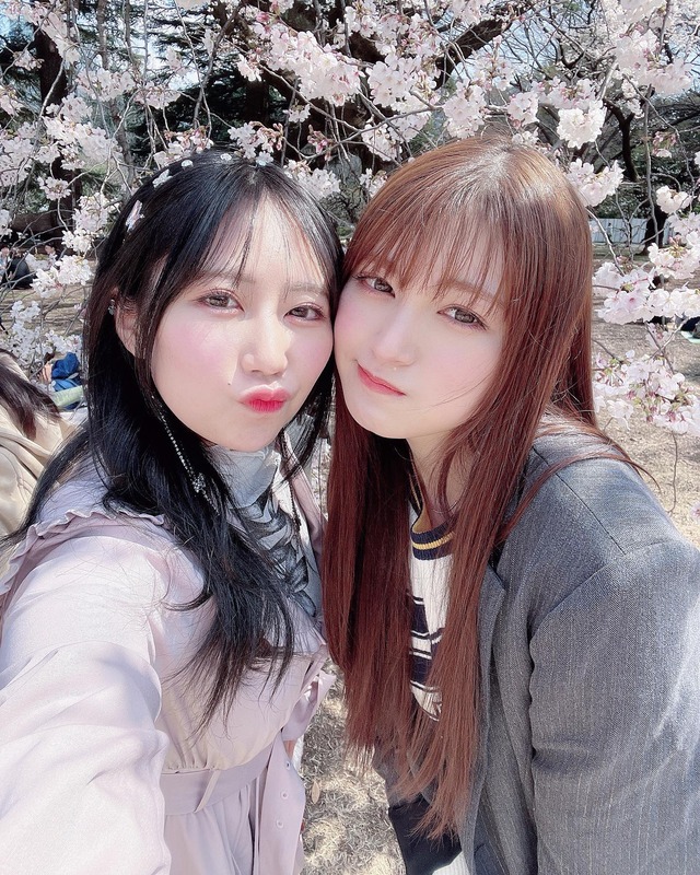 338167861_1446733366128316_8603021464345765367_n