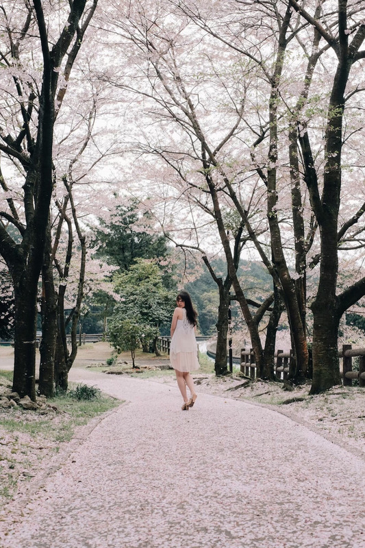 o1080162014735142819