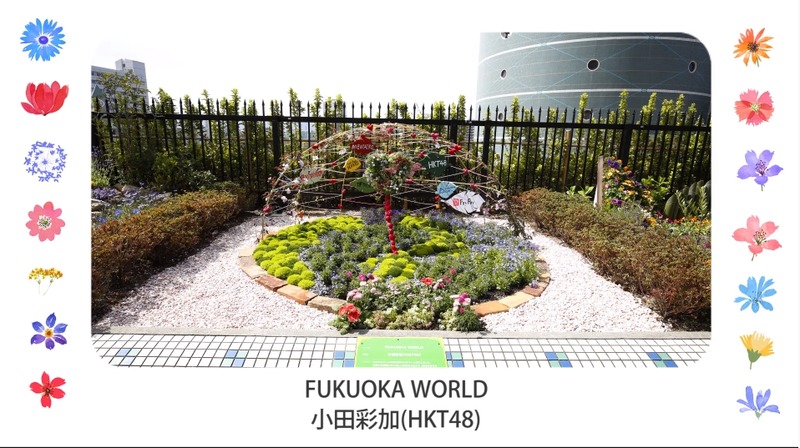 2020y04m14d_164752311