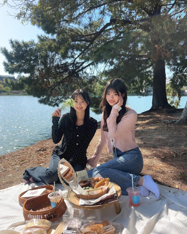 489575116_17900204928158674_1275701713173274131_n