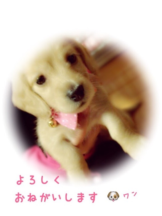 ab5e5186-4168-4b91-a15b-5234941825f0