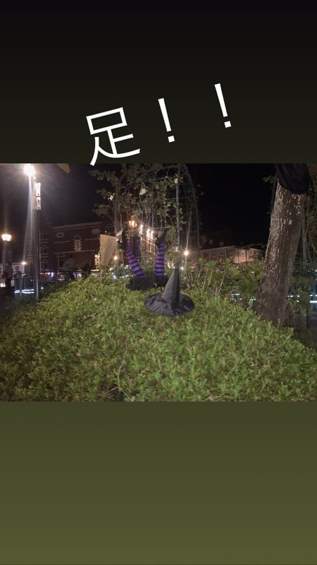 44500659_530292694101427_4149191091472261875_n