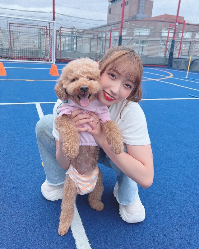 347881340_654420189839115_2396258952197869137_n