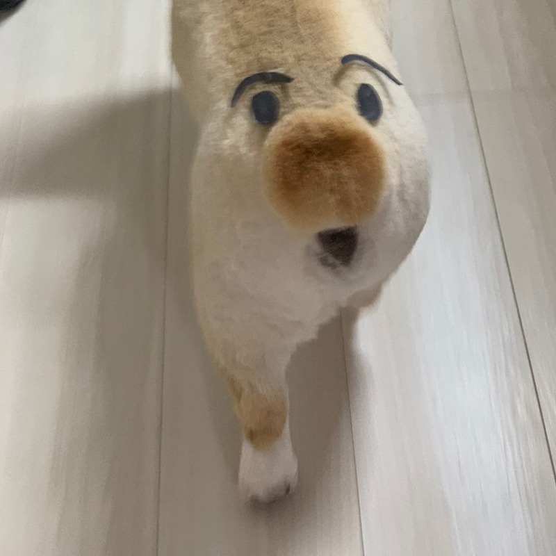 192518926_519770549433146_3132723541145643447_n (1)