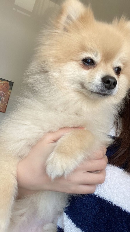 96670031_1167813480232056_2328876733247469672_n