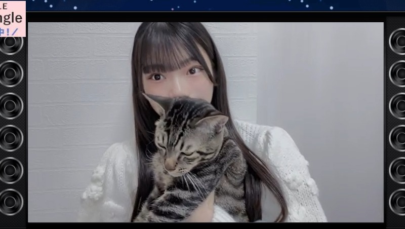 2023y11m28d_204422267