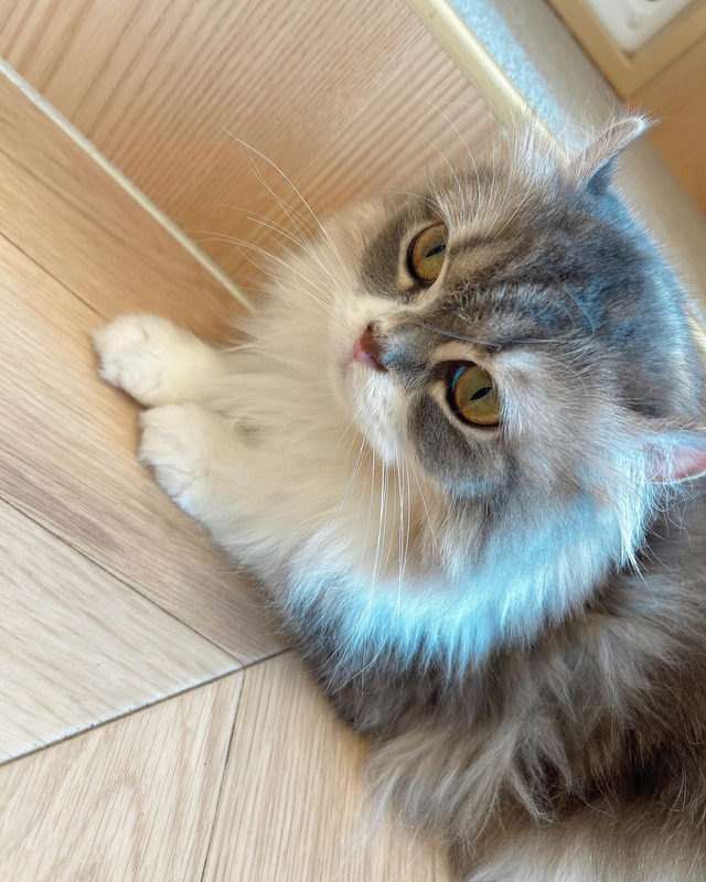 491433569_18373383196192434_8708891198185474604_n