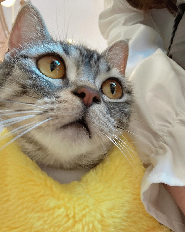 491431711_18373383205192434_5237096735303381948_n