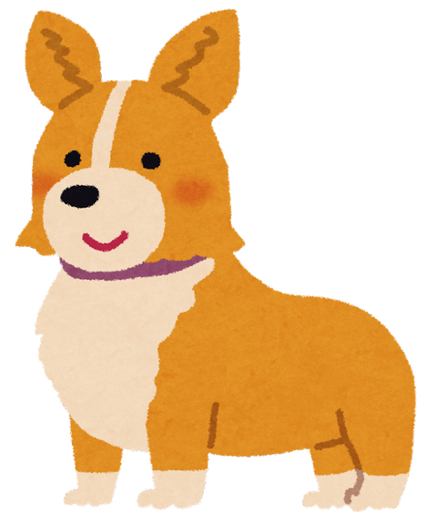 dog_corgi