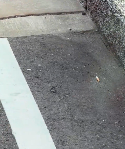 スクリーンショット 2026-03-09 213819