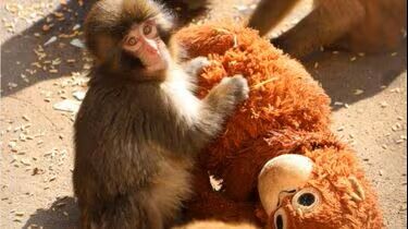 img_1ffbea284026f87b4e47b23edb636782248487