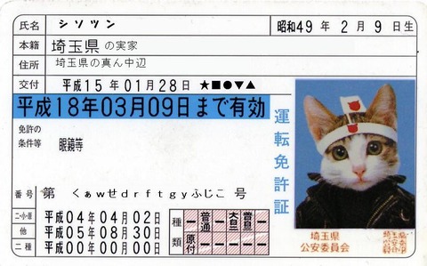 124343651254516200930_e2bba47f