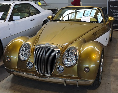 1024px-Mitsuoka_Himiko_Roadster_(2014)_1Y7A6208