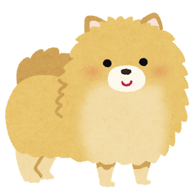 dog_pomeranian