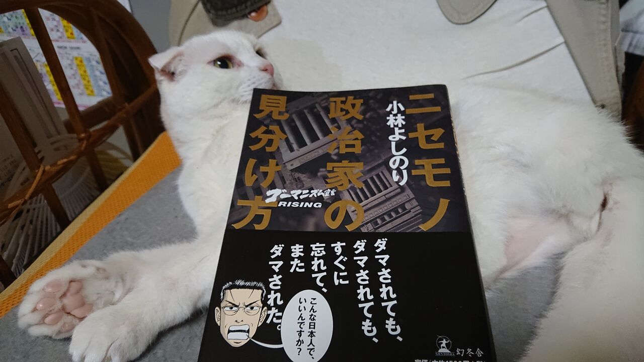 よしのり ライジング 小林