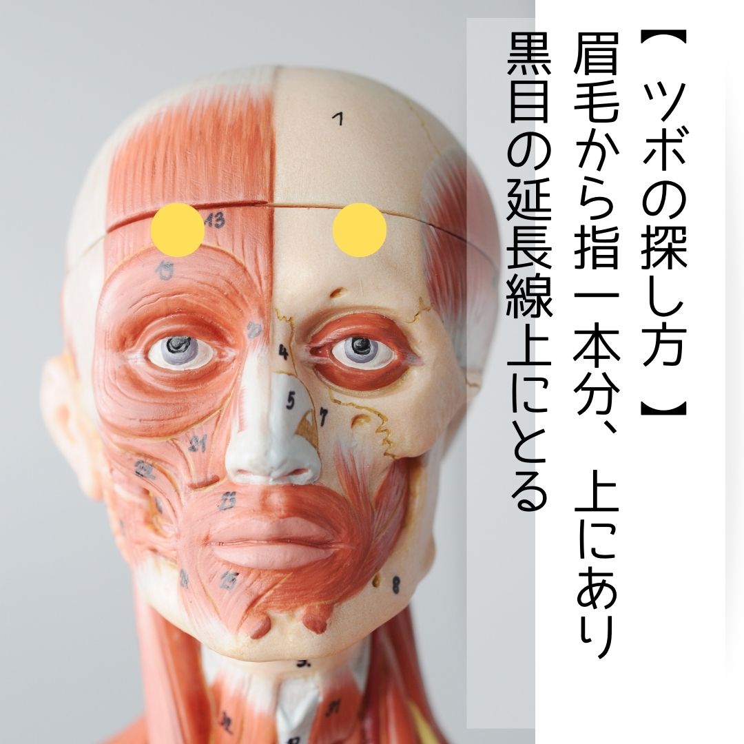 茅場町女性鍼灸院blog : 【陽白】目のかすみ