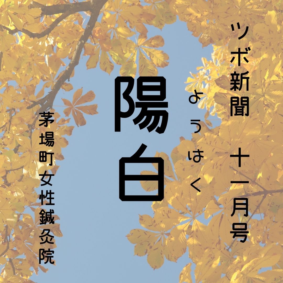 茅場町女性鍼灸院blog : 【陽白】目のかすみ