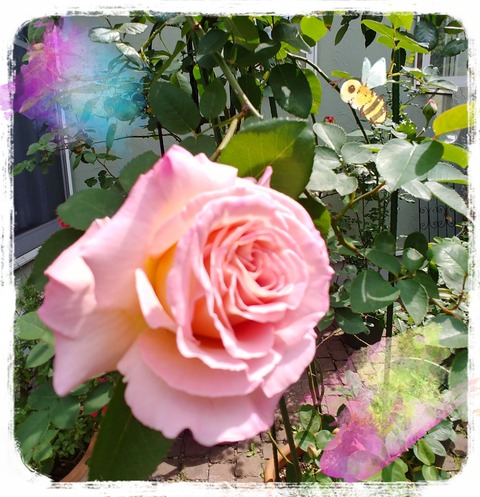 19-04-21-15-29-01-671_deco