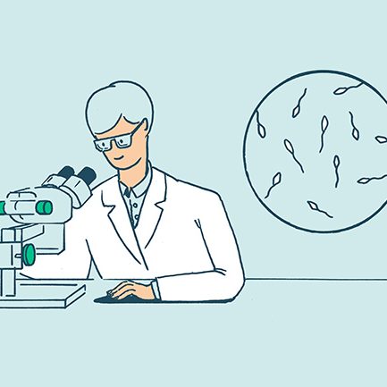 genkou3_「男性不妊」の検査-433x433