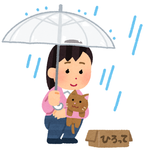 suteneko_hirou_woman