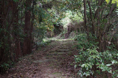nagaosaka