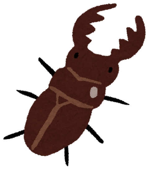 去年の秋に道端で捨てられていたクワガタを拾い、それ以来家の5歳が新しく虫を飼いたがってるんだ。