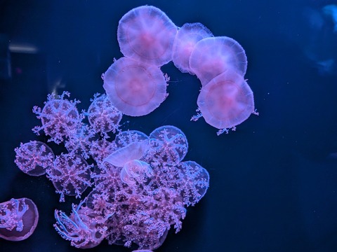 PXL_20260210_034118076