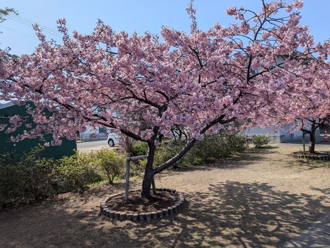 PXL_20260312_015135650