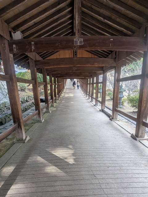 PXL_20251126_010130660