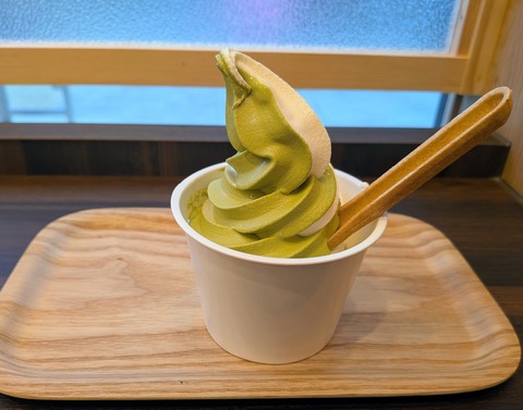 PXL_20260304_033408337~2