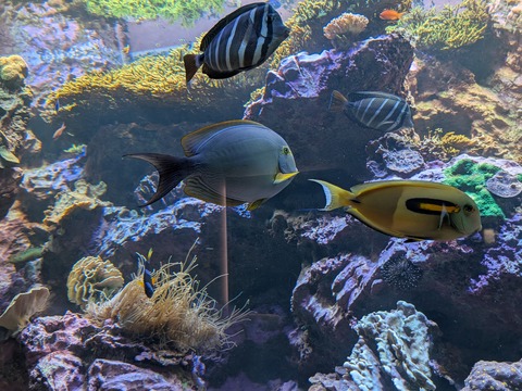 PXL_20260210_033037190