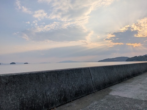 PXL_20251126_064840956