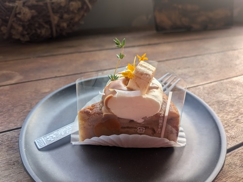 PXL_20251126_061607514