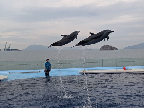 PXL_20260210_040926072