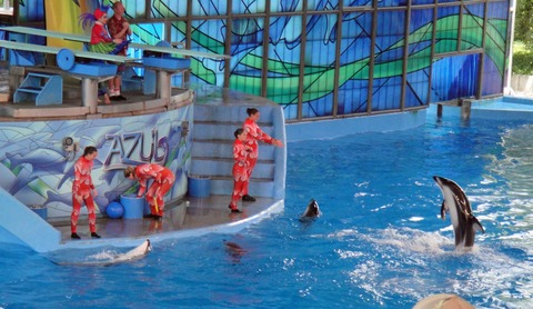 水族館①