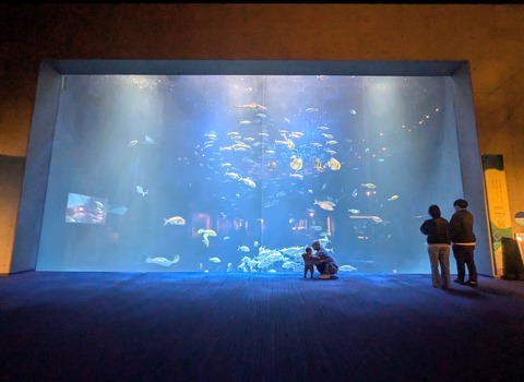 PXL_20260210_035124450~3