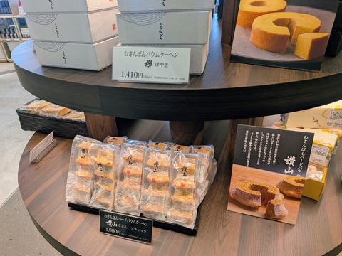 PXL_20260304_033008580~2