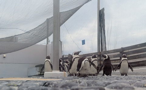 PXL_20260210_042750770~2