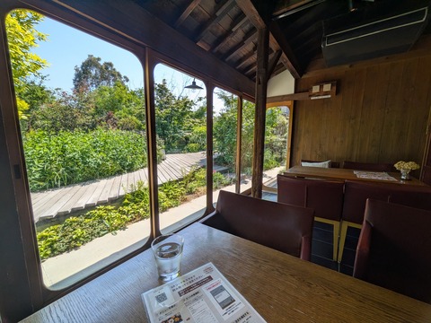 PXL_20260519_050352858