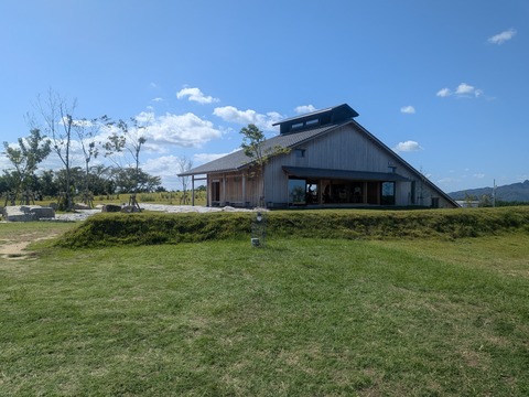 PXL_20251009_030000214