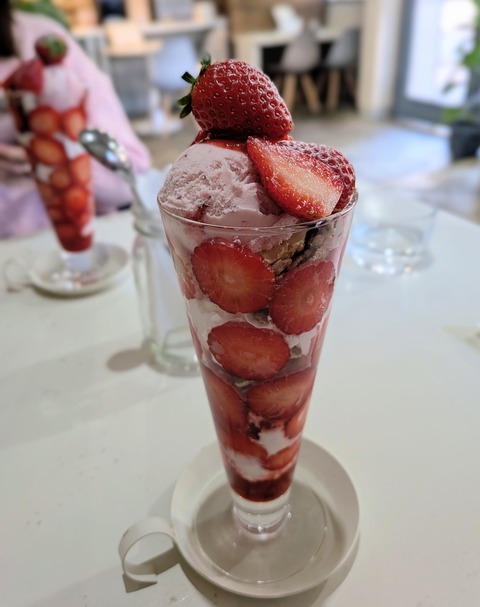 PXL_20260109_055343477~3