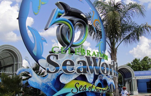 水族館⑤