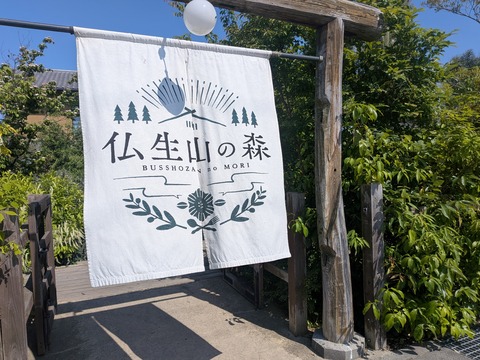 PXL_20260519_053811588