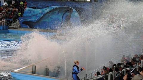 水族館④